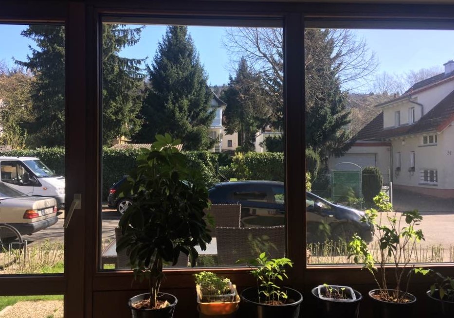 독일 하이델베르크에 있는 저자의 집 거실창에서는 현관이 바로 보인다