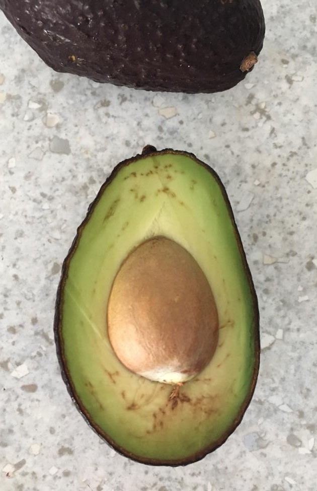 아보카도를 씨와 함께 보관하면 갈변을 줄일 수 있다