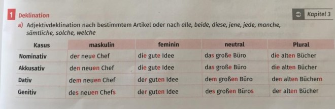 독일어의 복잡한 관사, 형용사 변형 체계를 문법책에서 설명하고 있다